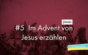 Tannenzapfen Tannenzweige als Titelbild für Das Gespräch Im Advent von Jesus erzählen