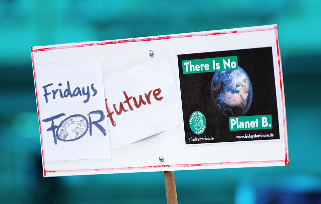 Demonstrationsschild Fridays For Future