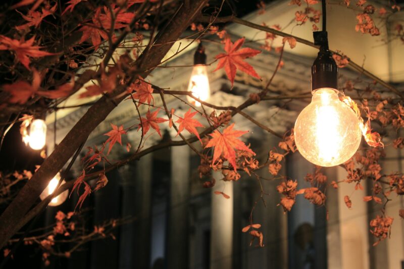 Lampen an einem Herbstbaum, Blogbild zum Thema "Christliche Alternativen zu Halloween"