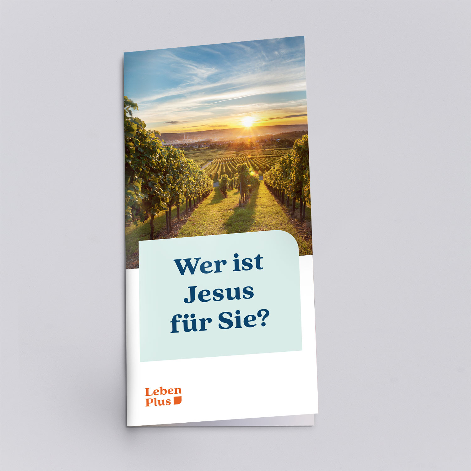 Produktbild: LebenPlus Flyer "Wer ist Jesus für Sie?"