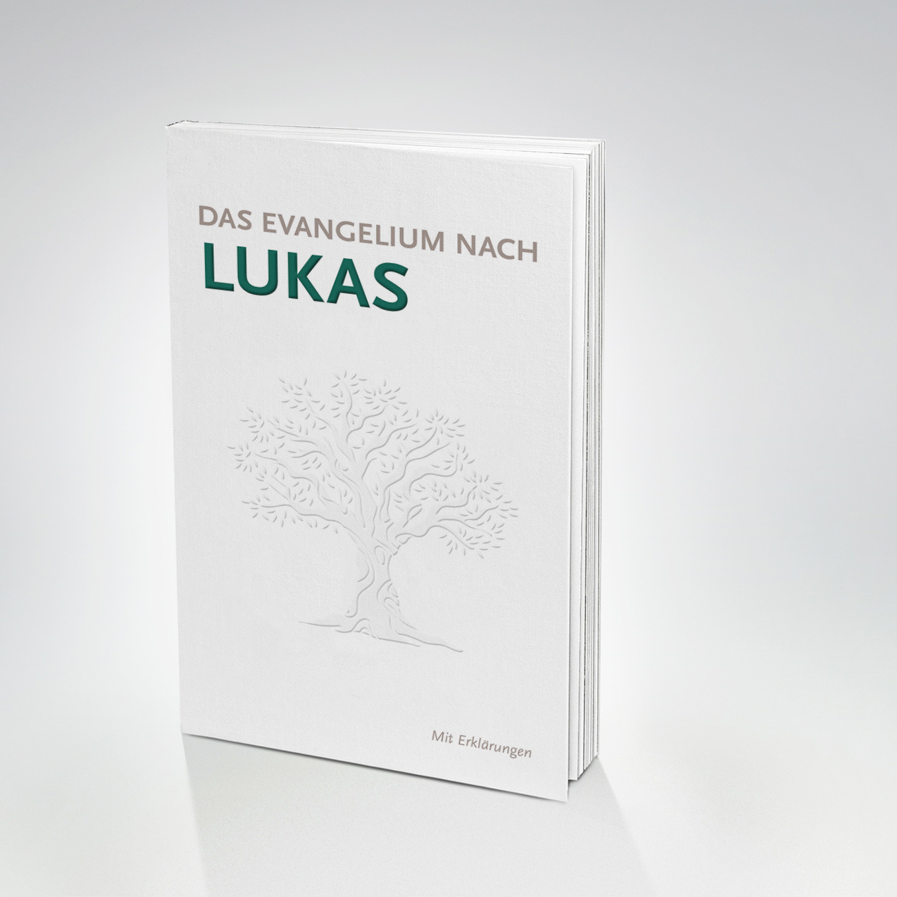 Lukasevangelium mit Erklärungen