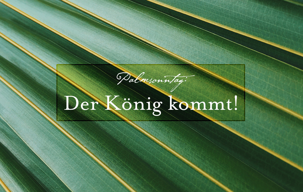 Nahaufnahme Palmblätter als Blogbild für Palmsonntag: Der König kommt!