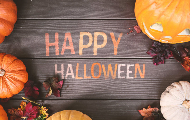 Kürbisse, Herbst Dekoration auf Veranda als Blogbild für Happy Halloween